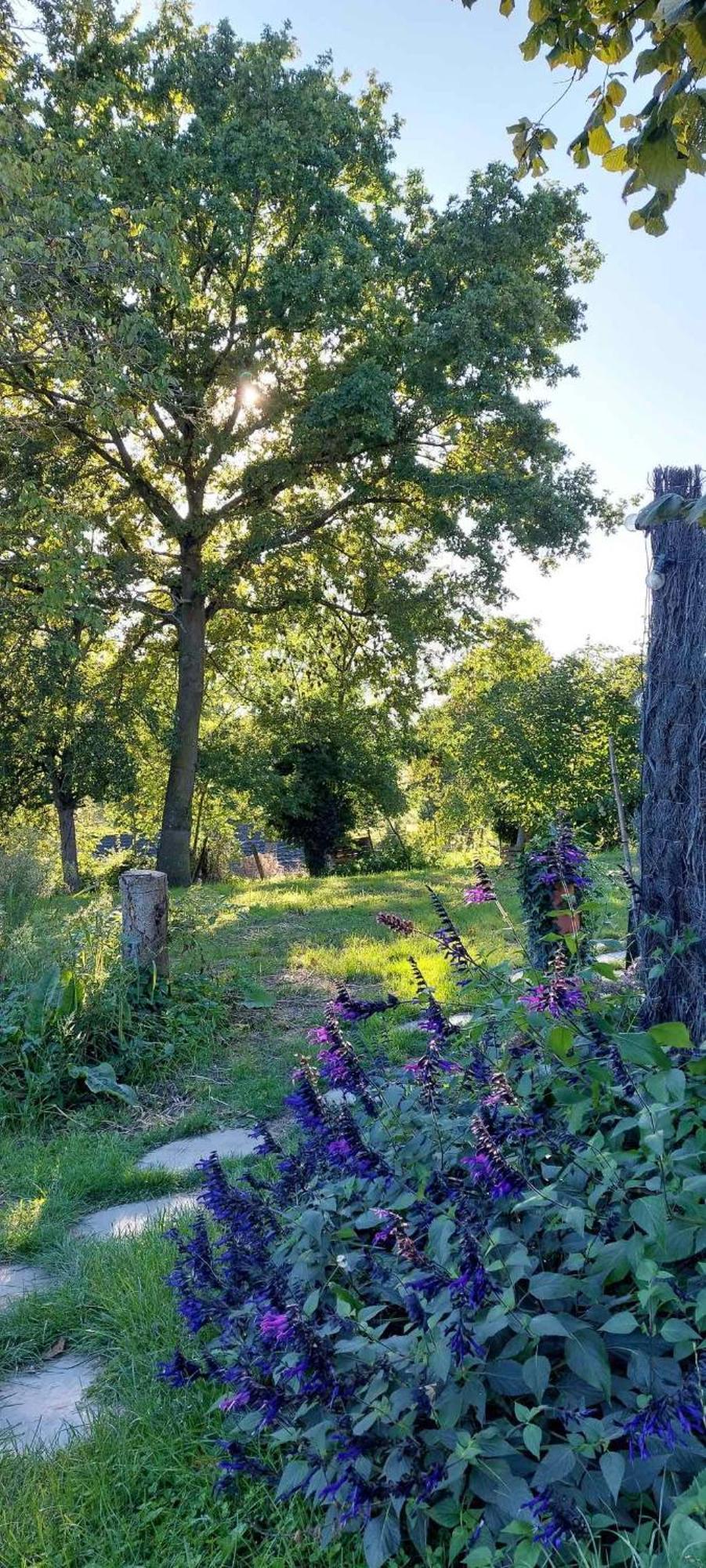 Boerderaaj Vakantiewoning Bilzen Dış mekan fotoğraf