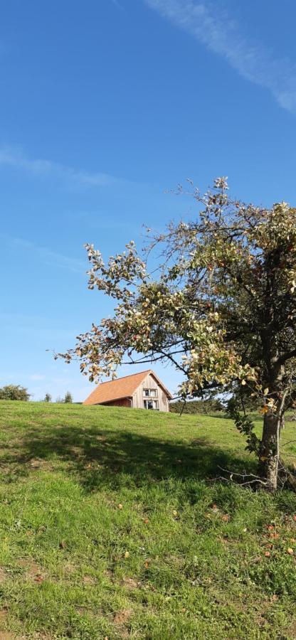 Boerderaaj Vakantiewoning Bilzen Dış mekan fotoğraf